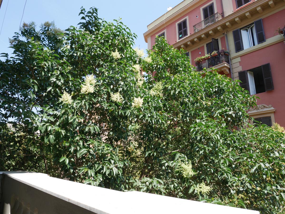 Nori Guest House — Foto 3